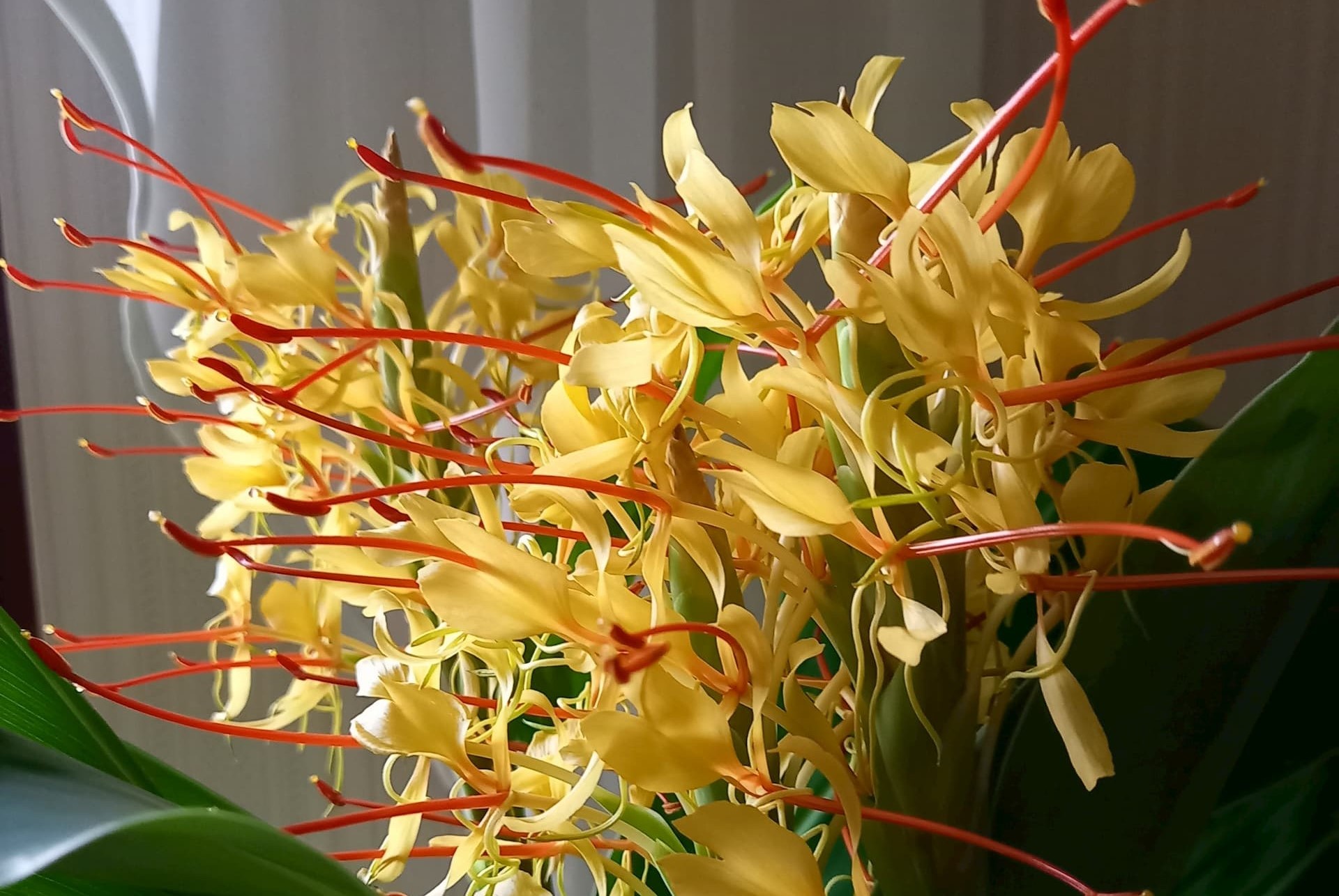 Dr. Peter Lautenschläger